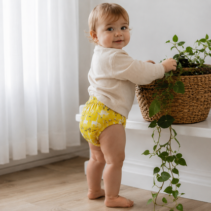 Potty Ready Underwear™ [Free Today]